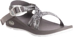 Chaco Women's Z/Cloud X -Shoes Sales Store chaco womens z cloud x echo paloma j106608 54061.1647288280