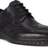 ECCO Men's ST.1 Hybrid Lite Wingtip Brogue 1 ECCO Men's ST.1 Hybrid Lite Wingtip Brogue -Shoes Sales Store ecco mens st 1 hybrid lite wingtip brogue black 83720411001 24715.1597881417