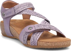 Taos Trulie -Shoes Sales Store taos womens trulie lavender tru 16406 lav 38548.1682088054